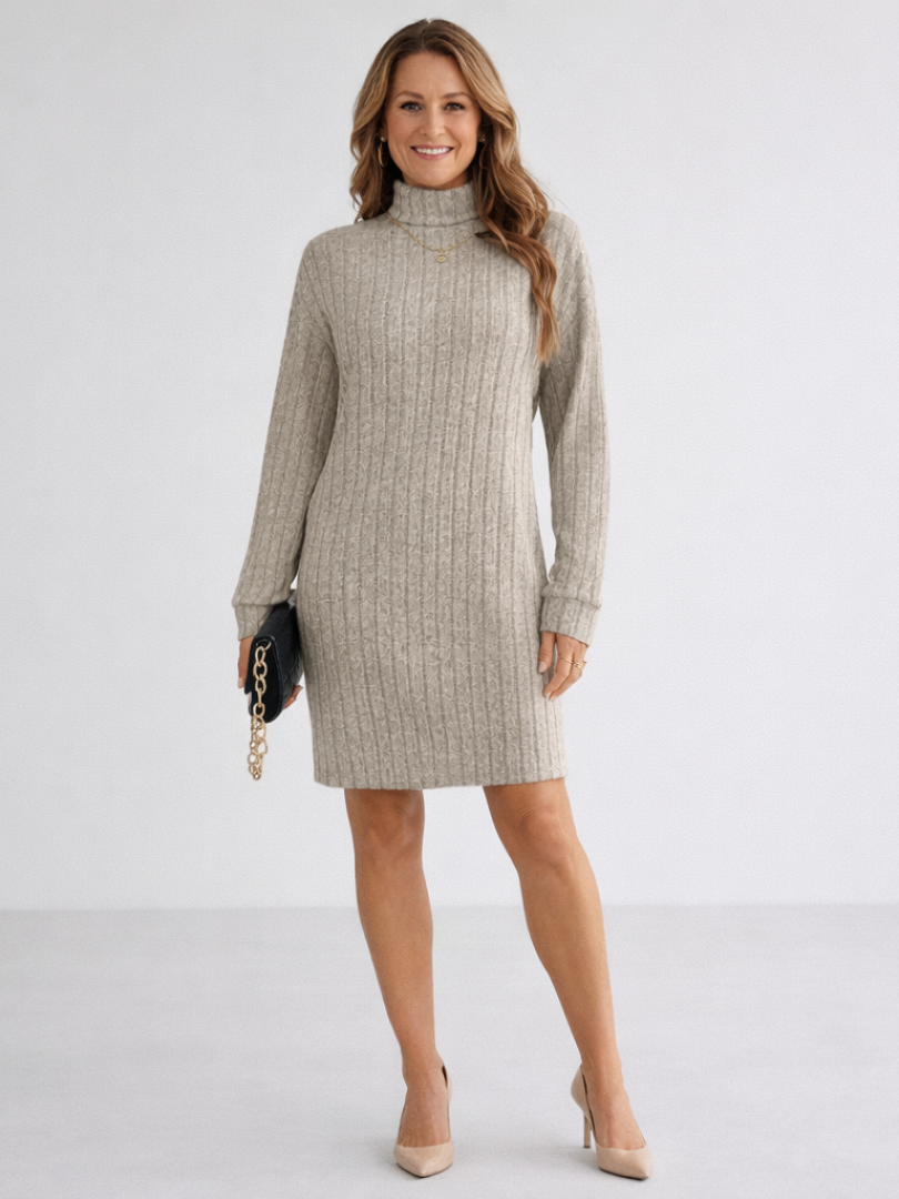 Margot | Ribbed Knit Turtleneck Dress 0