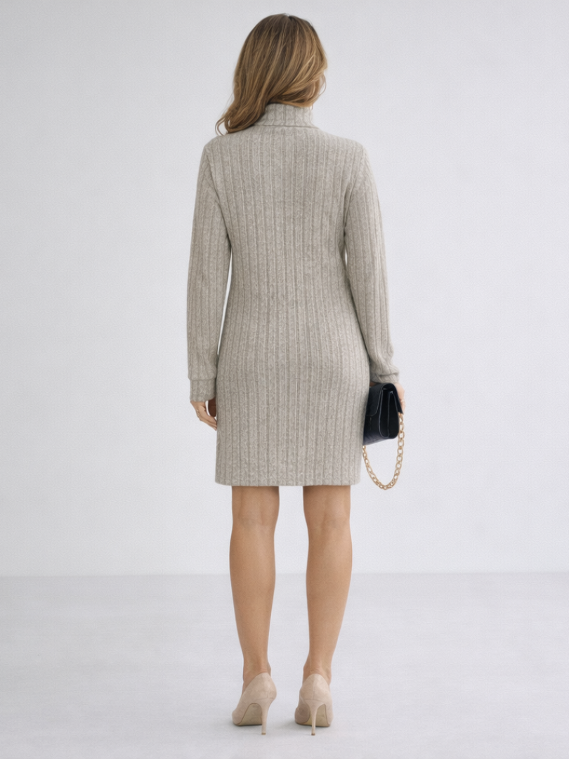 Margot | Ribbed Knit Turtleneck Dress 2