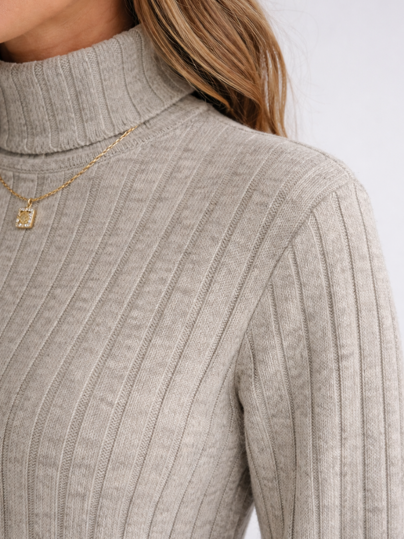 Margot | Ribbed Knit Turtleneck Dress 3